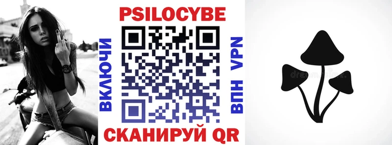 Галлюциногенные грибы Psilocybine cubensis  Касли 